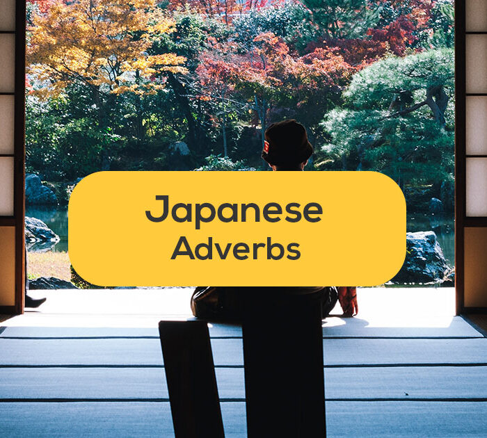 Man-traditional japanese house-japanese adverbs-