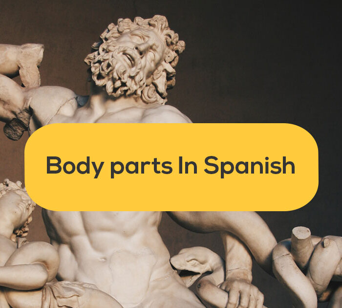 greek sculptures- body parts in spanish