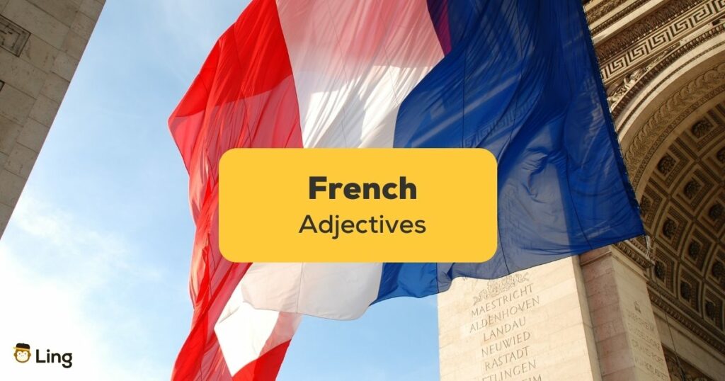 french adjectives - France - French flag