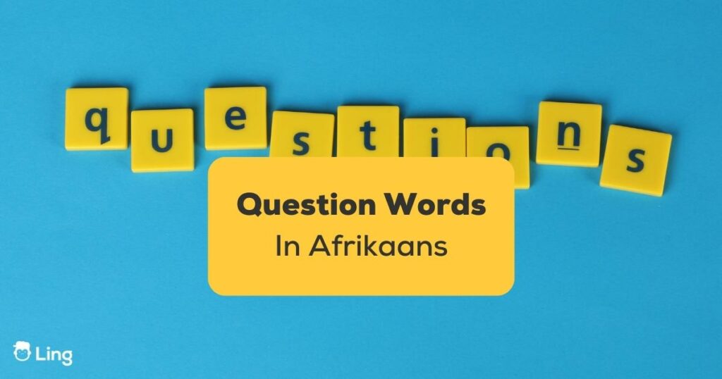 question words in afrikaans