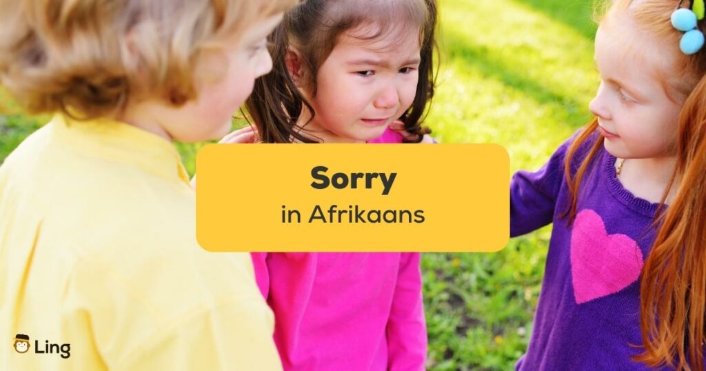 sorry in Afrikaans ling app