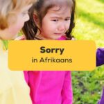 sorry in Afrikaans ling app