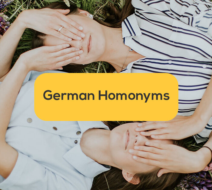 Twins- german homonyms
