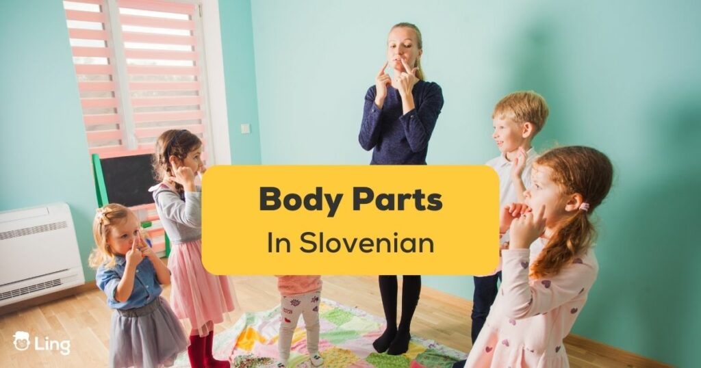 Body Parts In Slovenian Ling App