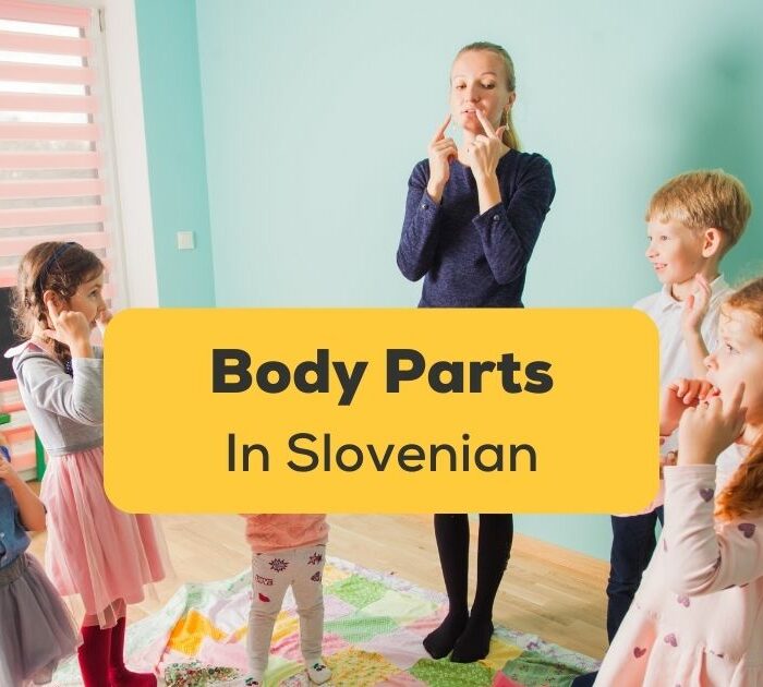 Body Parts In Slovenian Ling App