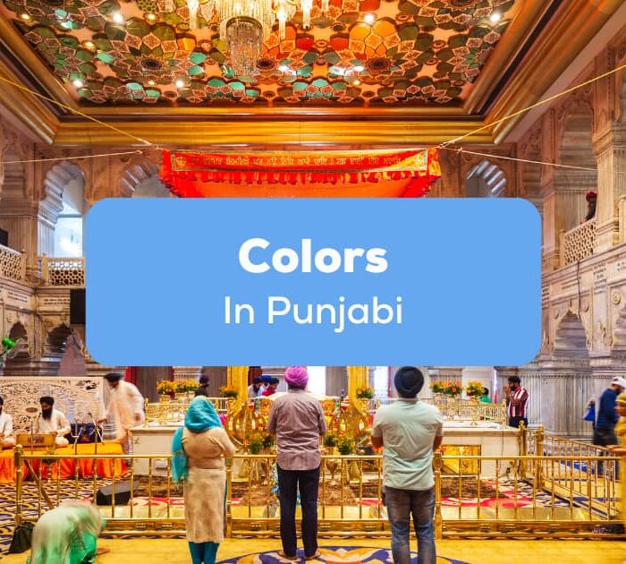 Colors In Punjabi