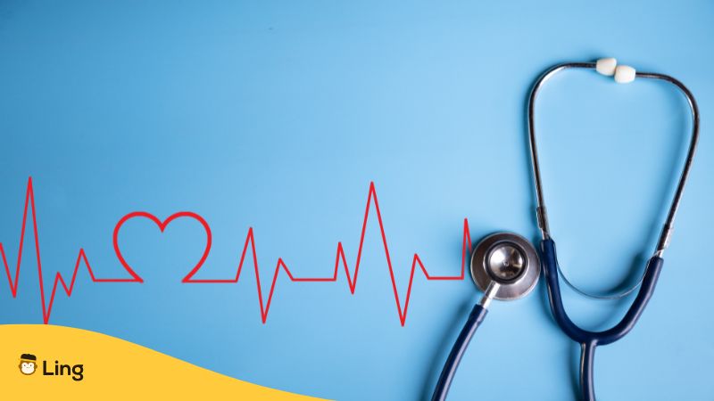 Health Vocabulary In Urdu Ling App Stethoscope Heartbeat ECG