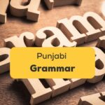 Punjabi Grammar Ling App