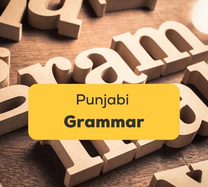 Punjabi Grammar Ling App