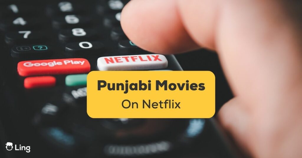Punjabi Movies on Netflix Ling App