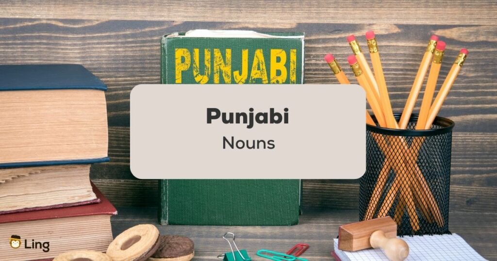 Punjabi Nouns_punjabi book