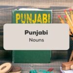 Punjabi Nouns_punjabi book