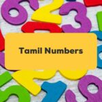 Tamil Numbers_ling app_numbers