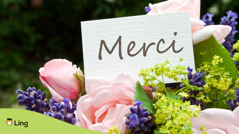 Thank you in french Merci