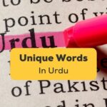 Unique Urdu Words Ling App