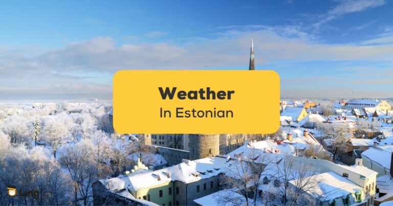 Weather In Estonian Ling App 1