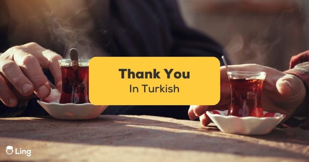 thank you in turkish - ling app