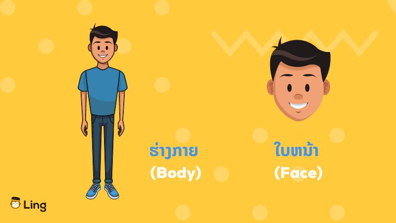words for body and face in lao - ling app