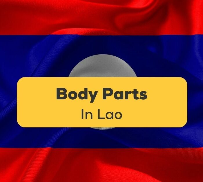 Body Parts in Lao - ling app