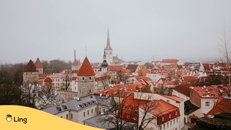 Cities In Estonia. Gorgeous Wintery View Of Estonian City With Medieval Spires.