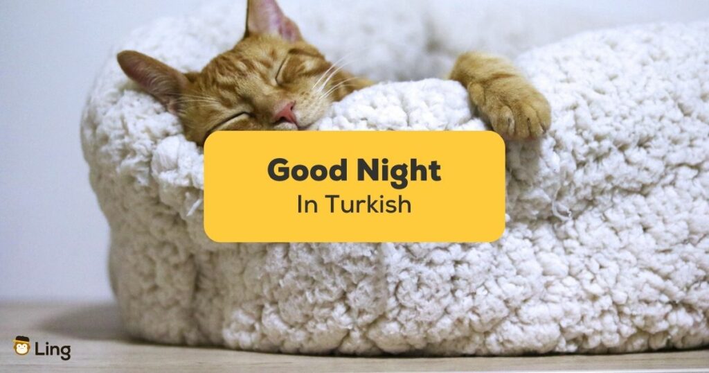 Good Night In Turkish - Ling