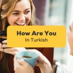 How Are You In Turkish - Ling