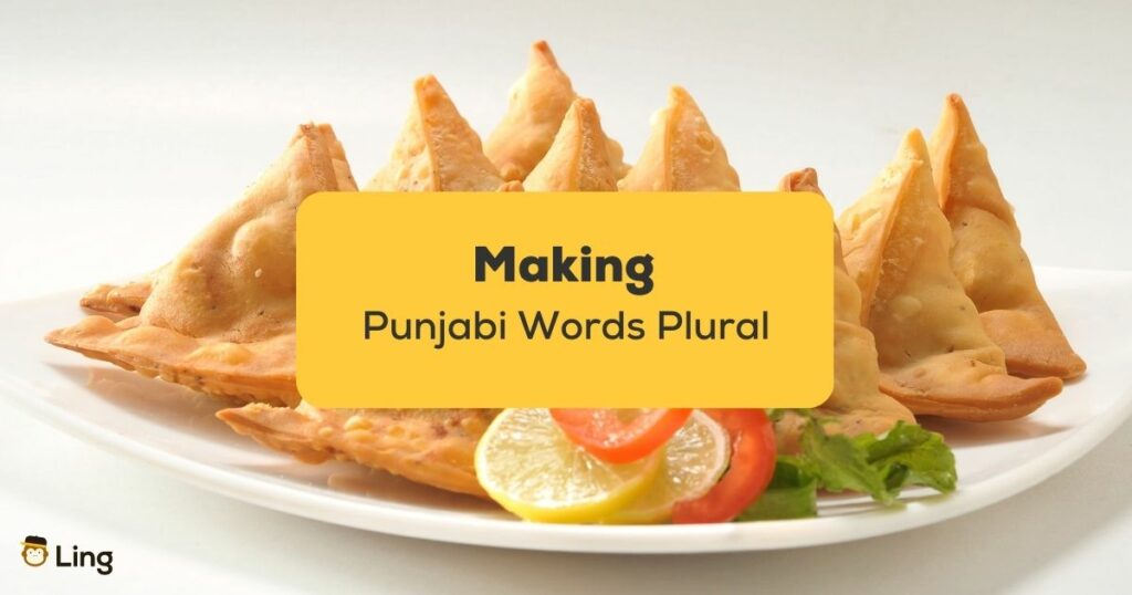 Making Punjabi Words Plural_ling app_Samosa Samosey
