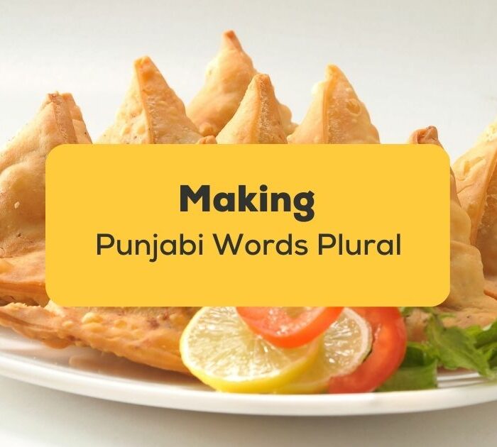 Making Punjabi Words Plural_ling app_Samosa Samosey
