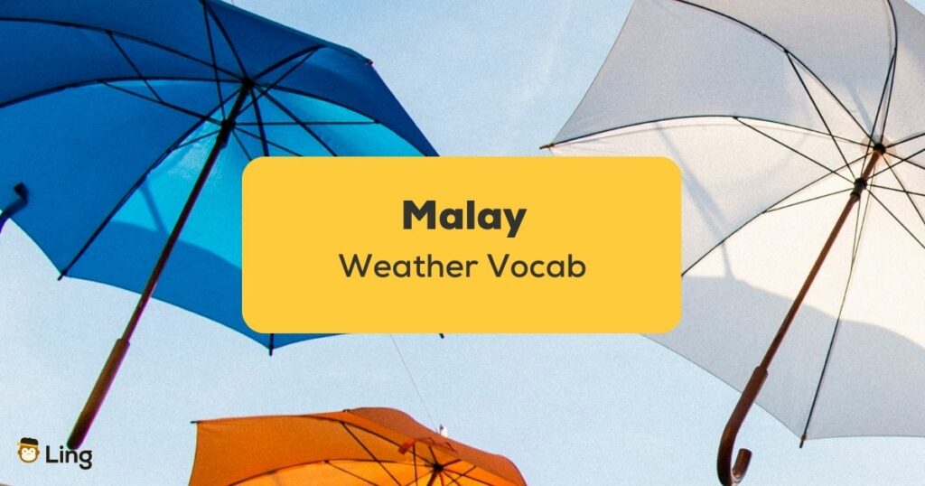 Malay Weather Vocab_ling app_learn Malay_Umbrellas