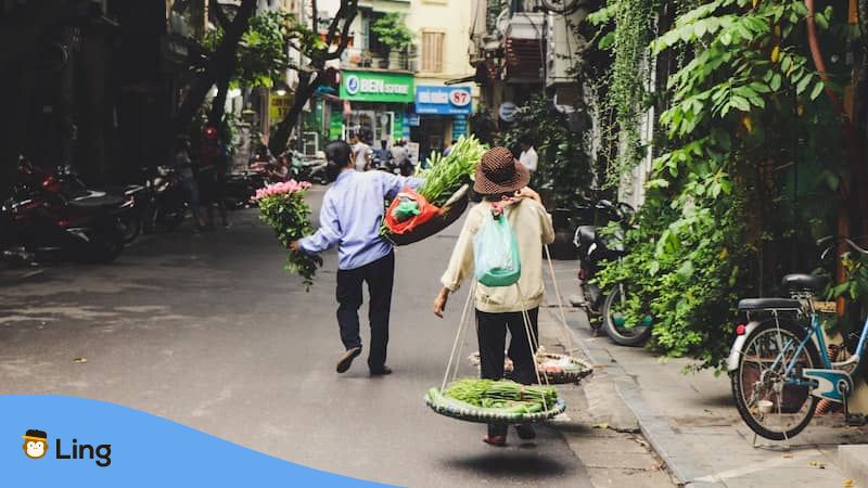 Plants in Vietnamese - people carry flowers