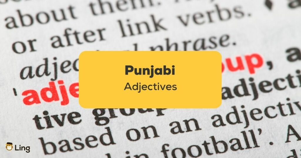 Punjabi Adjectives_ling app_learn punjabi_dictionary adjective