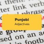 Punjabi Adjectives_ling app_learn punjabi_dictionary adjective