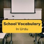 School-Vocabulary-In-Urdu-Ling