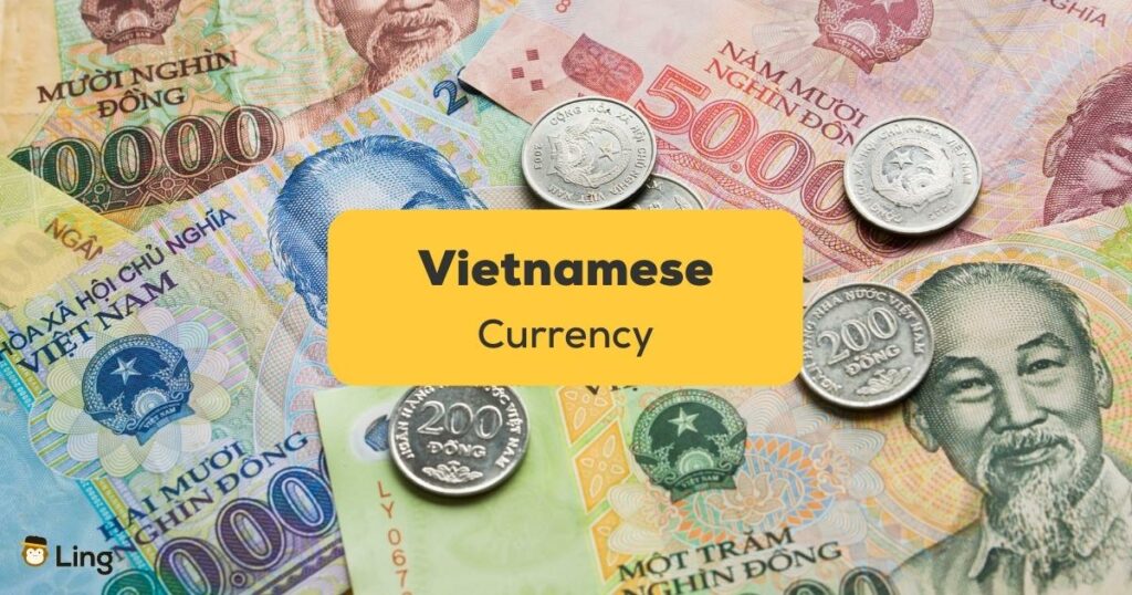 Vietnamese Currency-ling app-vietnam dong