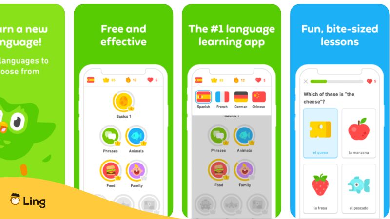 Apps To Learn Turkish - duolingo