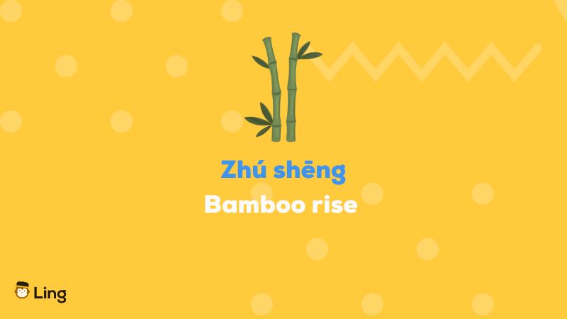 Bamboo rise - funny Cantonese Expressions
