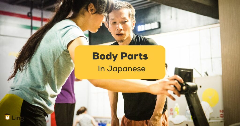 Body Parts In Japanese - Ling