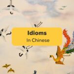 Chinese idioms - Ling
