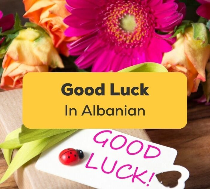 Good Luck In Albanian Ling App