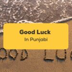 Good Luck In Punjabi_ling app_learn punjabi_Good Luck Seashore