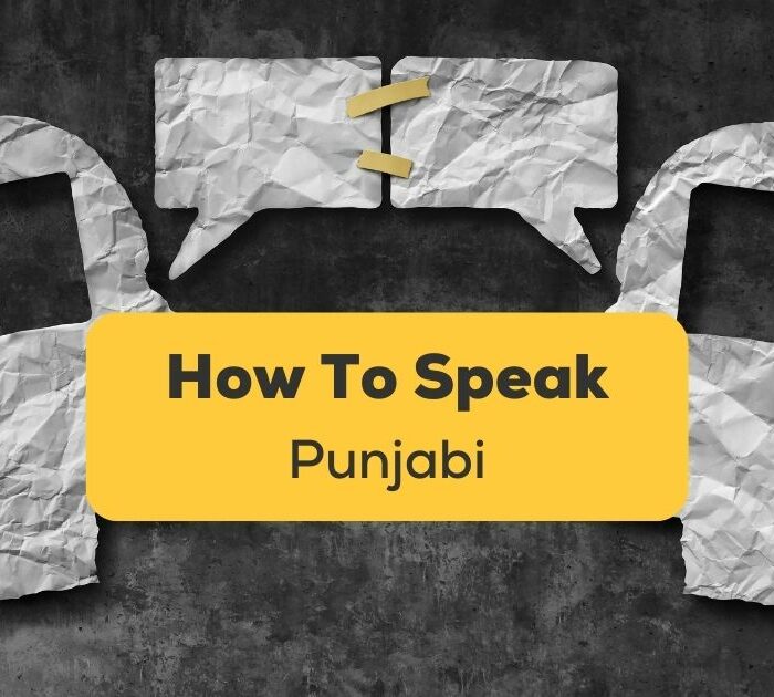 How To Speak Punjabi Ling