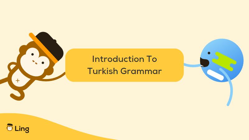 Turkish Sentence Structure - Introduction To Turkish Grammar