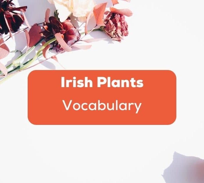 Plants in irish