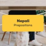 Nepali Prepositions_ling app_learn nepali_Dog under table