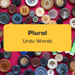 Plural Urdu Words_ling app_learn urdu_Buttons