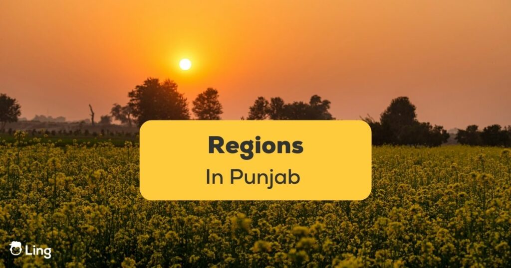 Regions in Punjab Ling