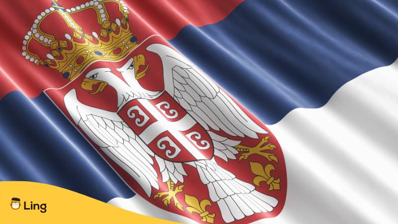 Detail of the Serbian Flag the Serbian Coat of Arms showing two-headed eagles, a crown and a cross