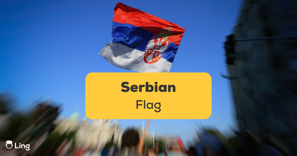 Serbian Flag raised in a crowd of people