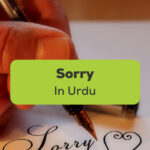 Sorry In Urdu