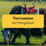 Titelbild: Tiernamen auf Mongolisch